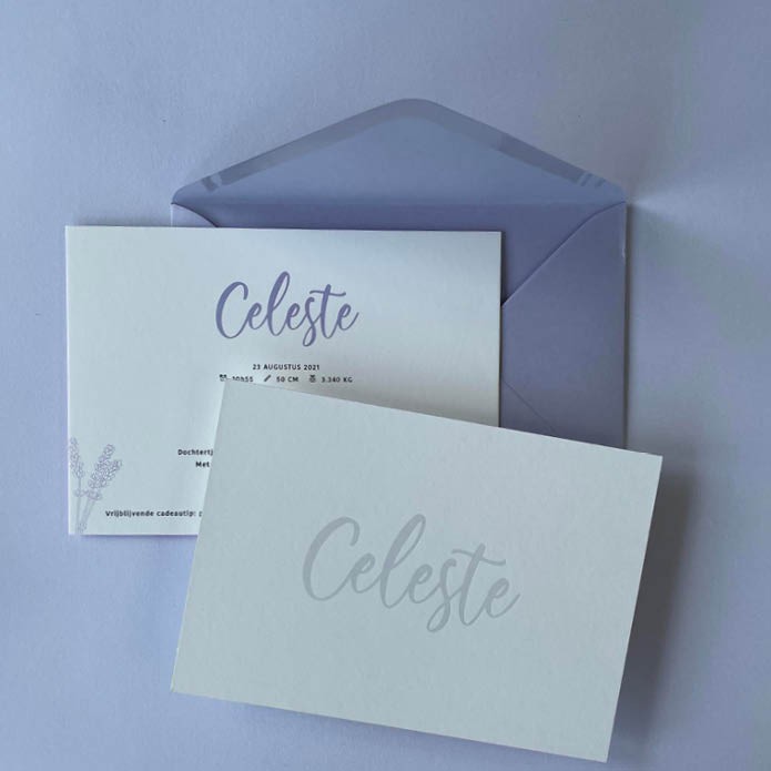 Met parelmoer kleurige foliedruk bedrukt geboortekaartje