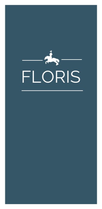 Minimalistisch geboortekaartje jeans blauw met ridder