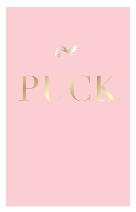 Geboortekaartje met kader in roze silhouet van ooievaar