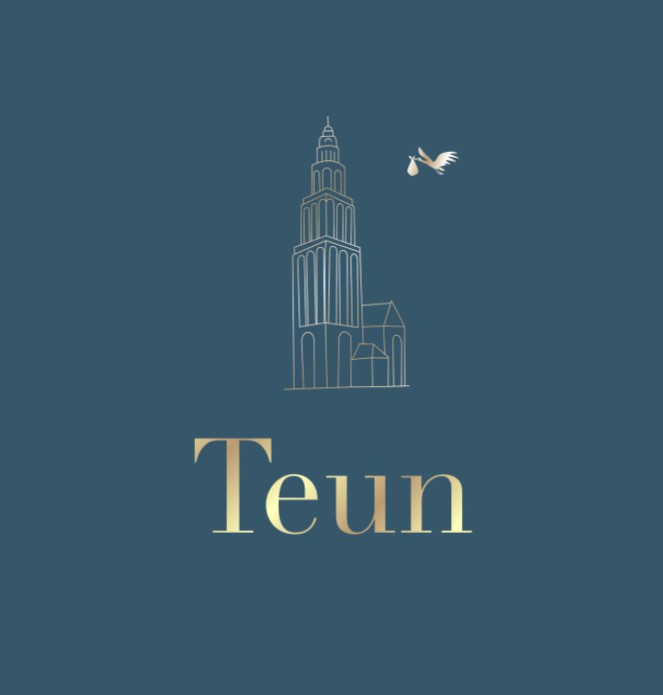 Geboortekaartje met Martinitoren van Groningen