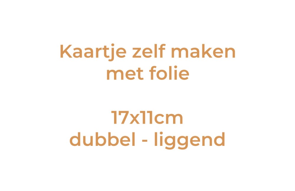 Kaartje zelf maken 17x11 - Dubbel liggend met folie