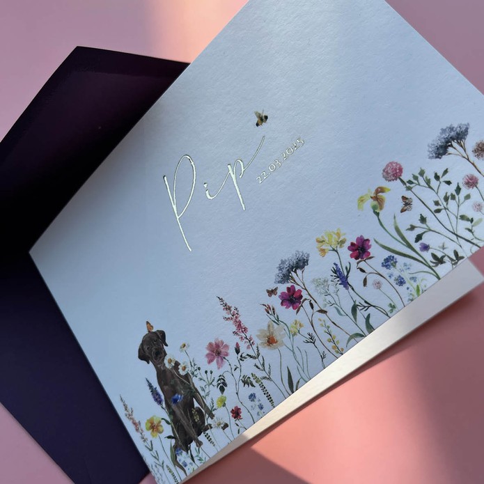 Speels geboortekaartje meisje met bloemenveld en hond