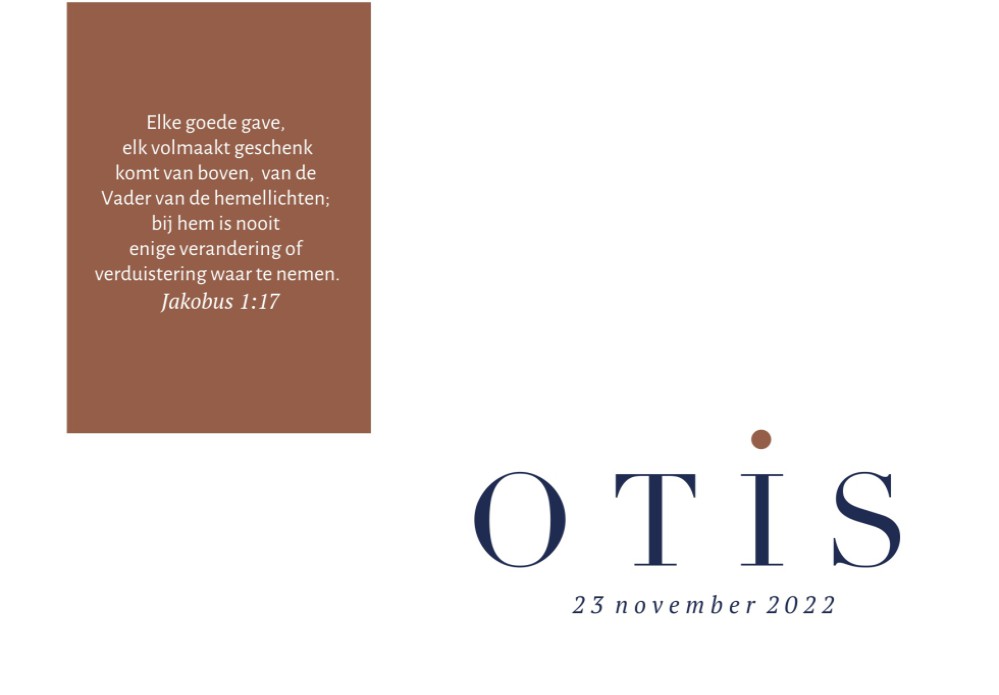 Simpel klassiek geboortekaartje jongen met label