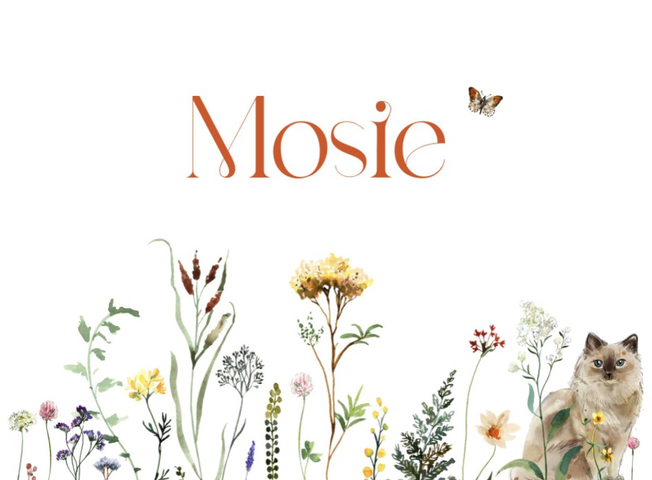 Romantisch geboortekaartje bloemen en poes